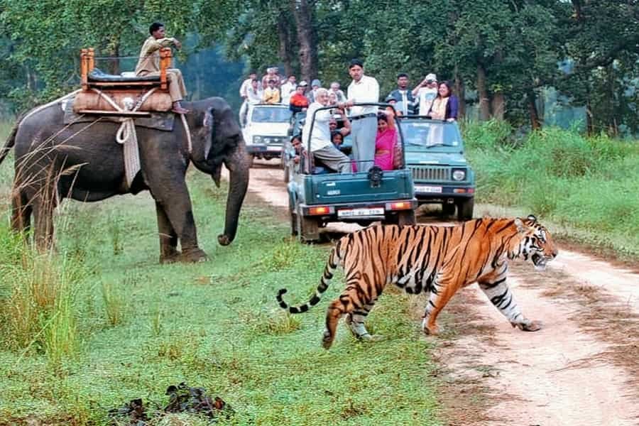 Corporate Tour Corbett