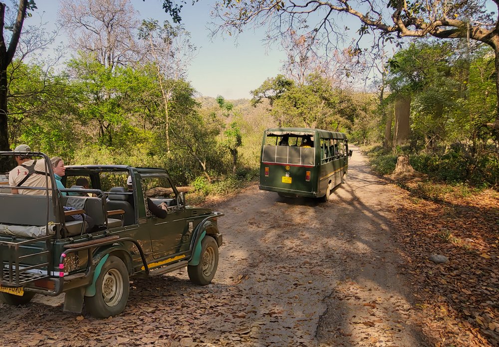 Dhikala Zone Jim Corbett